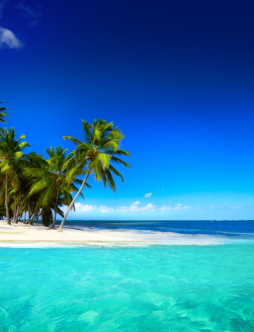 Sand bar island with palm trees in the Caribbean sea