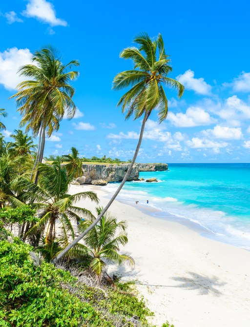 Tropical beauty of a Caribbean beach