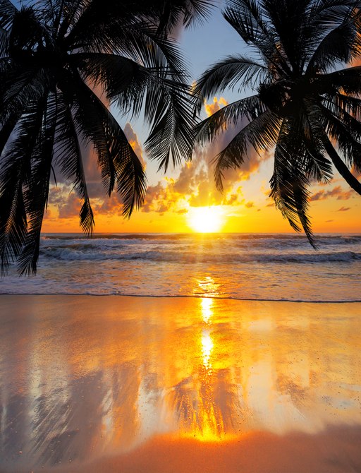 A sunsets over a beach in Thailand framed by palm trees