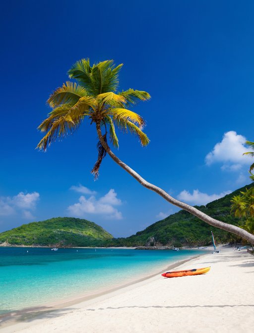 palm tree hangs over white sand of Deadman's Bay on Peter Island in the British Virgin Islands