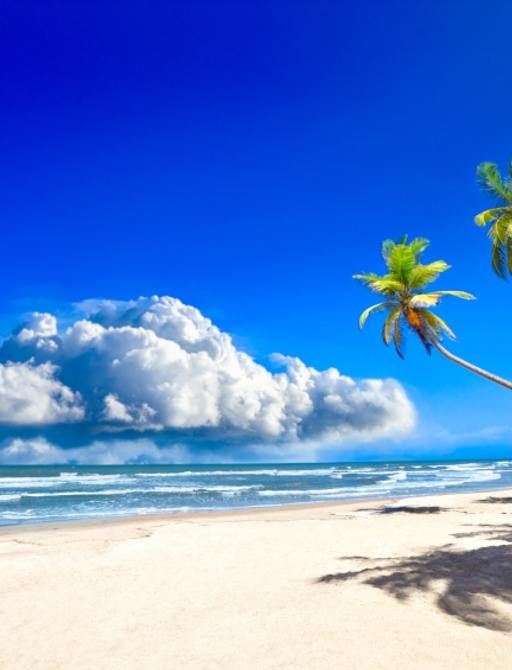 A pristine St. Lucia beach