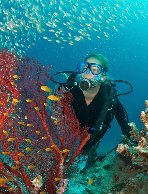 Scuba Diver in the Seychelles