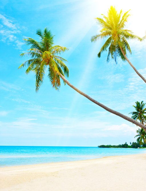 Beautiful tropical beach in the Caribbean