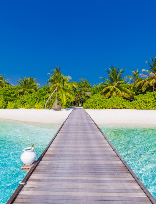 Tropical landscape of palm trees and long jetty with white sandy beach.