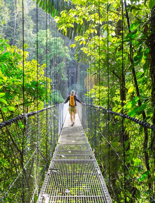 woman walking across a bridge in rainforest in Costa Rica