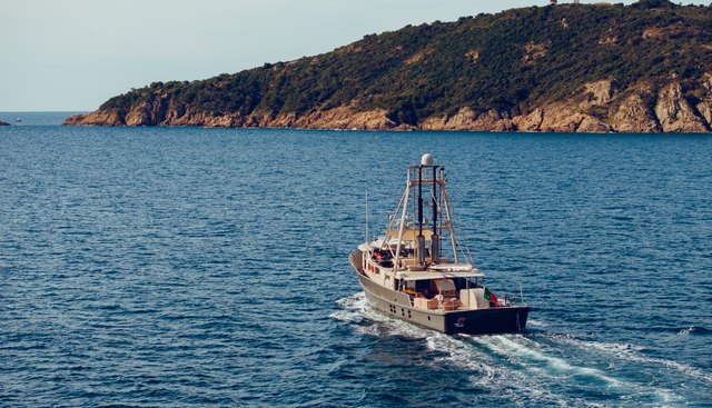 Pink Shrimp Yacht 5