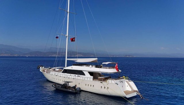 Dodo Yacht 5