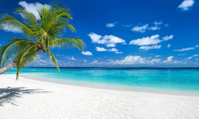 Yacht Charter Seasons