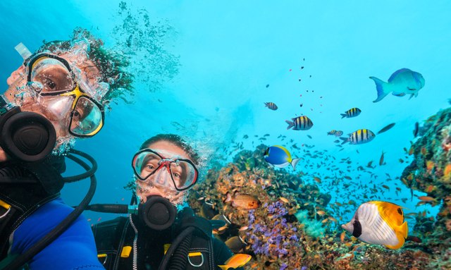 Guide to Yacht Charter Diving