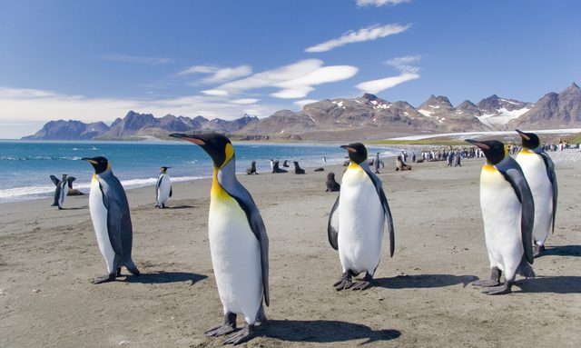 M/Y ‘Plan B’ Adventures to Patagonia in January 2017