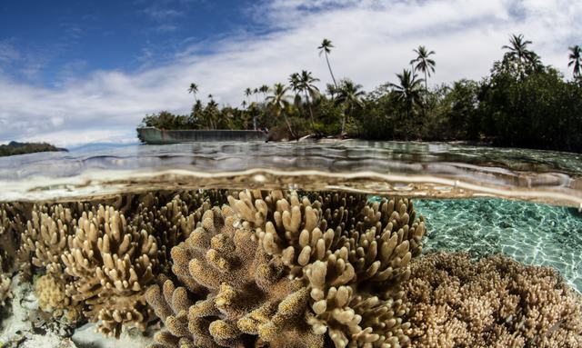 Discover the Solomon Islands Aboard M/Y ‘De Lisle III’ 