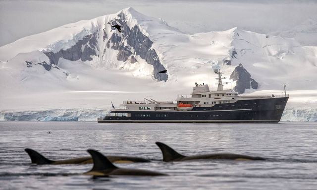 Antarctica charter special: Save 10% on board M/Y LEGEND