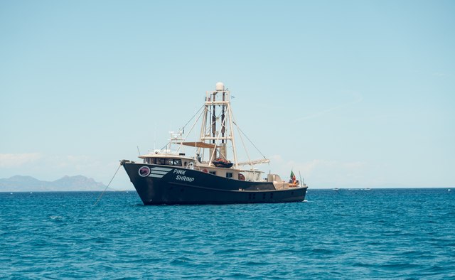Pink Shrimp Yacht Charter in Bonifacio