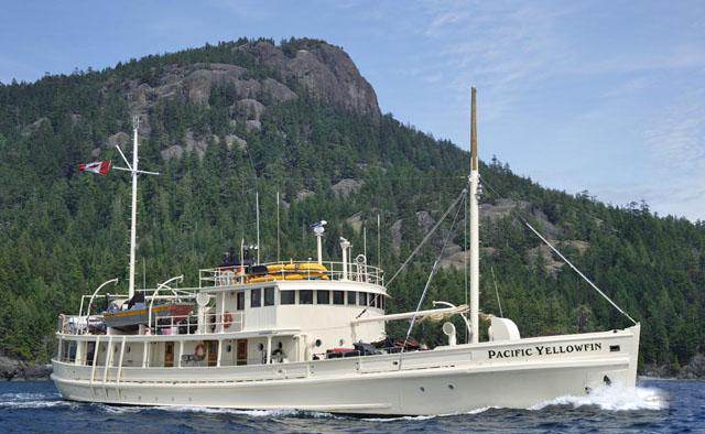 Pacific Yellowfin Yacht Charter in Northwest America