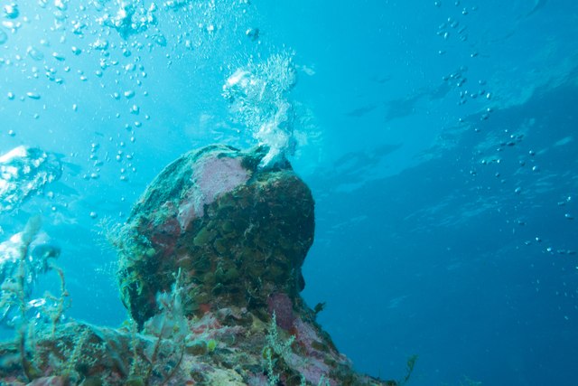 Cancún Underwater Museum