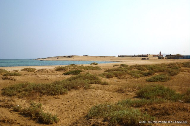 Wadi el Gemal Reserve
