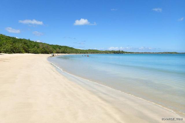 Buccoo Beach
