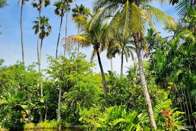 Garden of the Groves