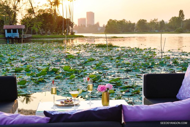 SEEDS Restaurant & Lounge