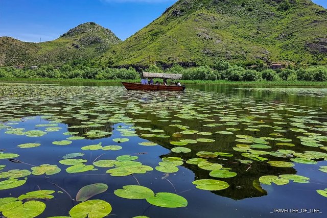 Shkodra Lake