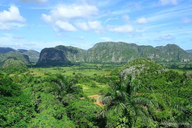 The Viñales Valley