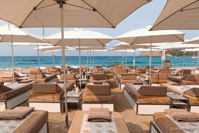Blue Marlin