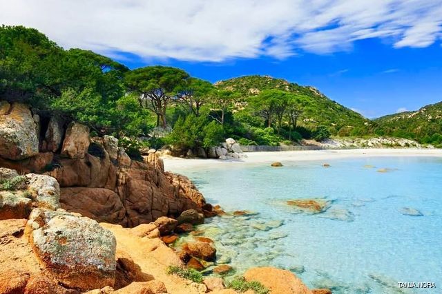 Palombaggia Beach