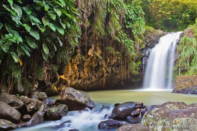 Annandale Waterfall & Forest Park