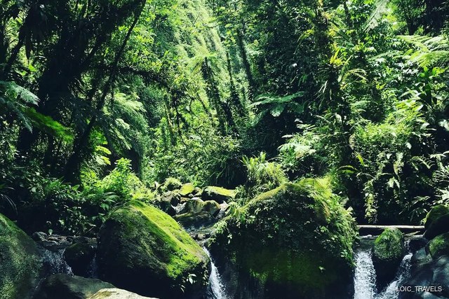 Gorges de la Falaise