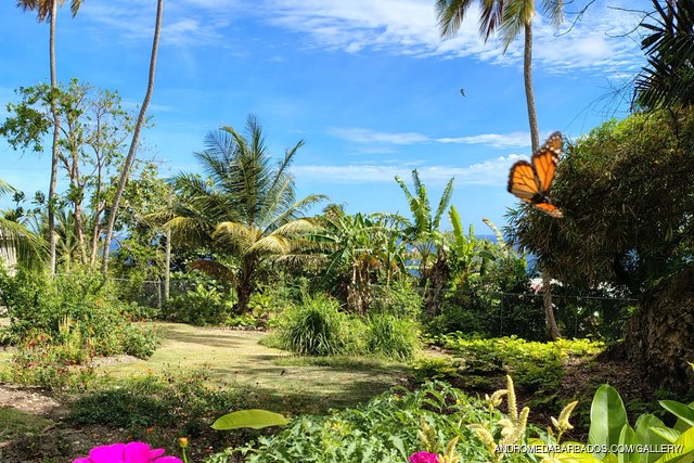 Andromeda Botanic Gardens