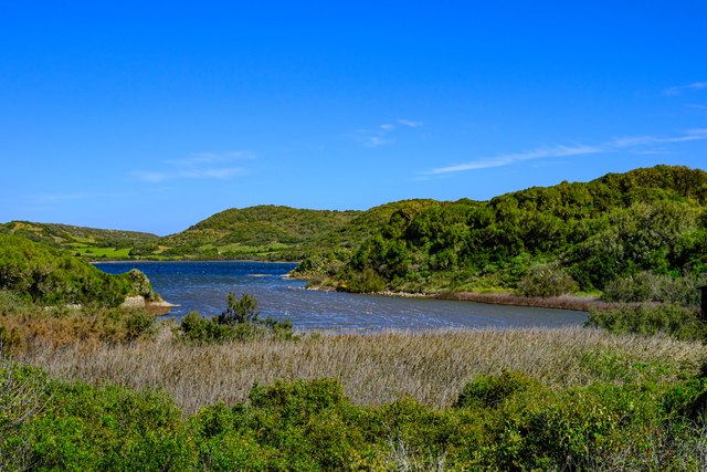 Parc Natural de s'Albufera des Grau