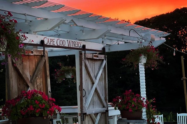 Cape Cod Winery 