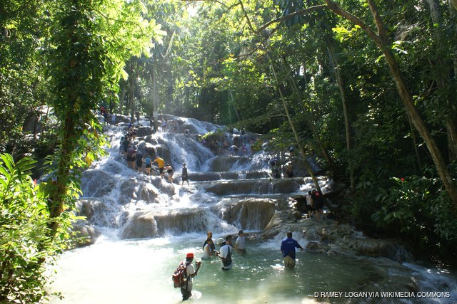 The World Famous Dunn's River Falls & Park