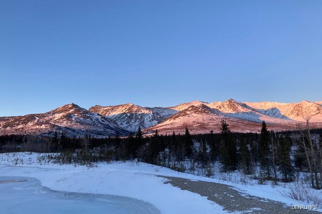 Denali National Park and Preserve
