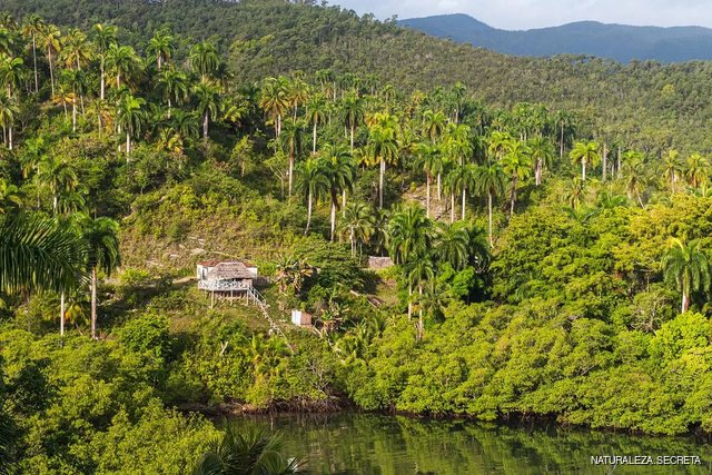 Alexander von Humboldt National Park