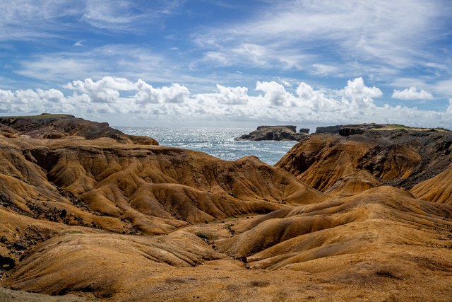 Savanna of Petrifications