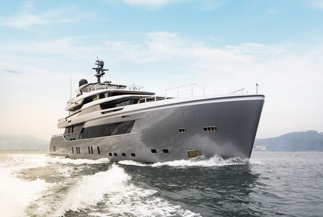 Pandion Pearl running shot