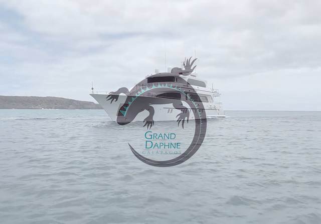 Grand Daphne Yacht Video
                                