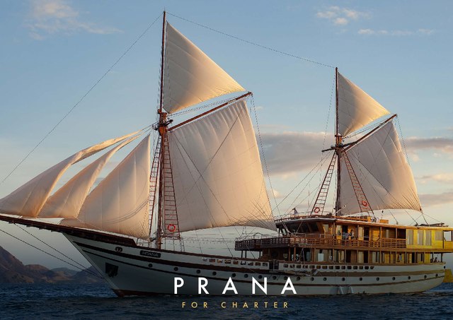 Download Prana yacht brochure(PDF)