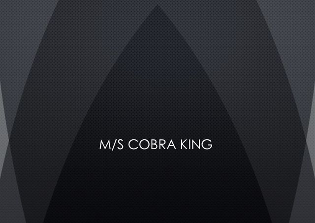 Download Cobra King yacht brochure(PDF)