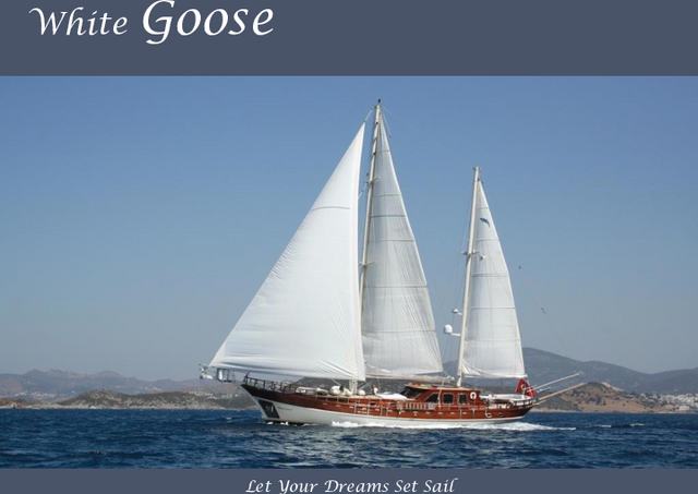 Download White Goose yacht brochure(PDF)
