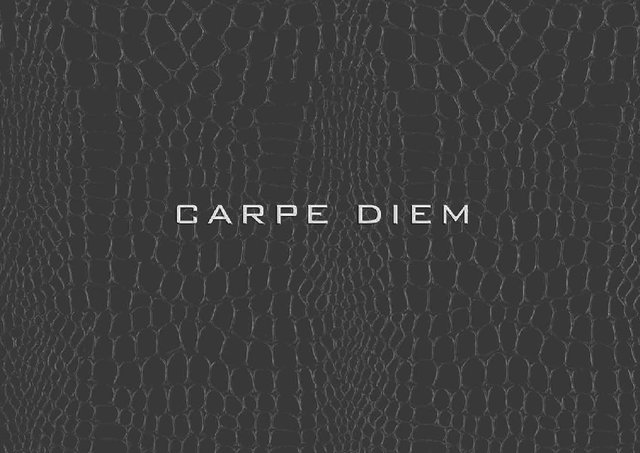 Download Carpe Diem yacht brochure(PDF)