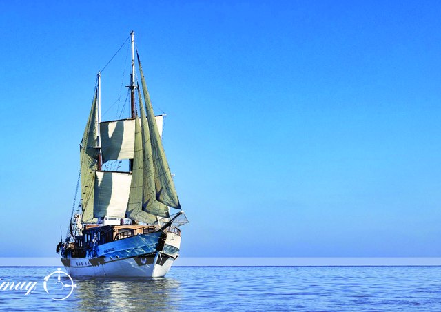 Download Mimay yacht brochure(PDF)