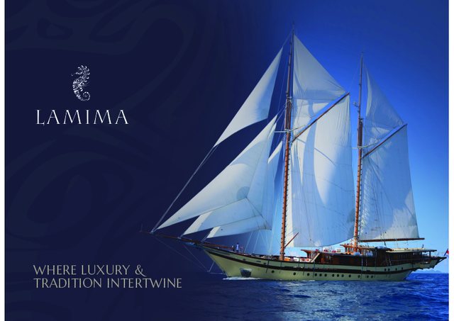 Download Lamima yacht brochure(PDF)