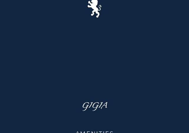 Download Gigia yacht brochure(PDF)