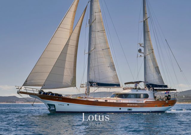 Download Lotus yacht brochure(PDF)