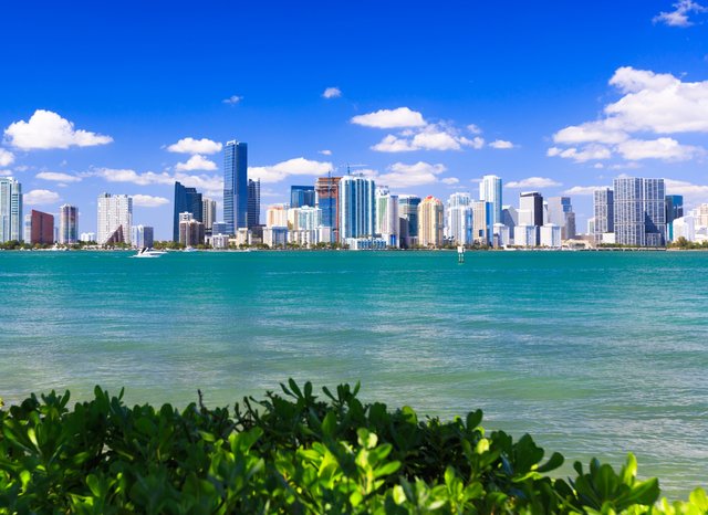 The coolest neighbourhoods to explore on your Miami yacht charter