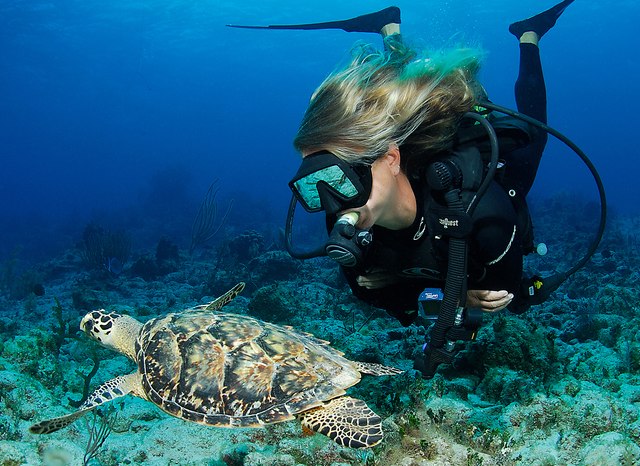 5 of the Best Dive Sites in Komodo National Park