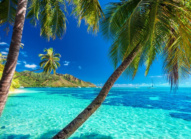 Find your perfect island on a Tahiti yacht charter