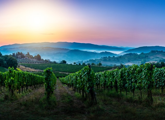 Six of the Best Wine Regions to Visit by Superyacht 
